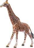 Wild Life Schliech-S 14749 Giraffa Maschio