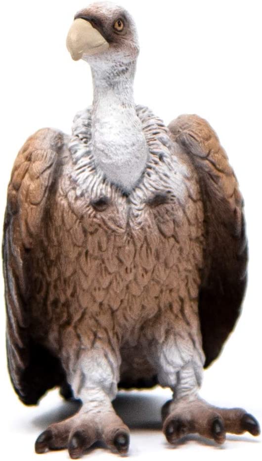 Wild Life Schliech-S 14847 Avvoltoio