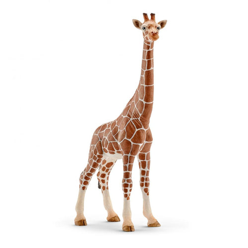 Wild Life Schliech-S 14750 Femmina Di Giraffa