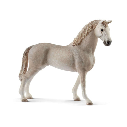Horse Club Schliech-S 13859 Castrone Holsteiner