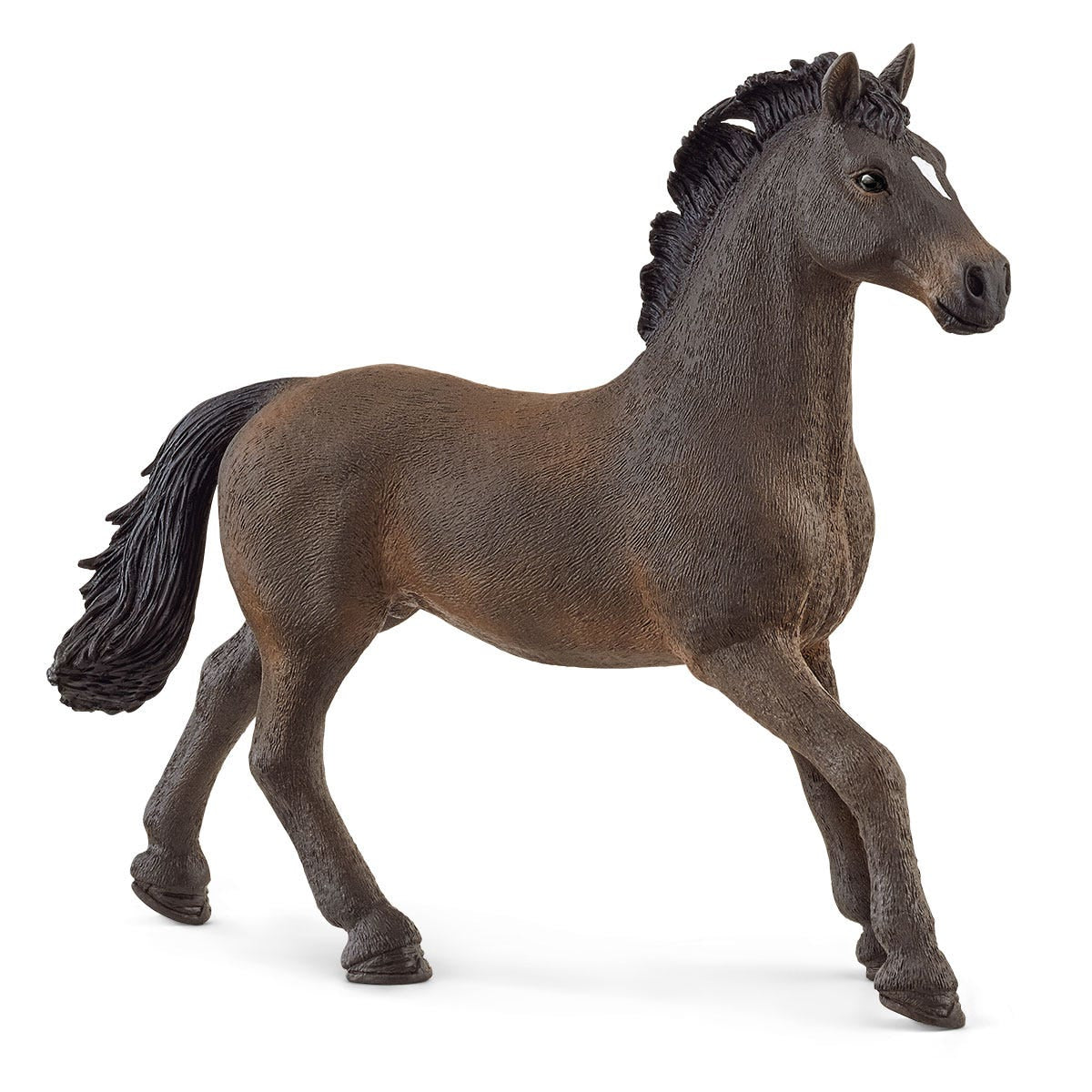 Horse Club Schliech-S 13946 Oldenburger Stallion
