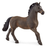 Horse Club Schliech-S 13946 Oldenburger Stallion