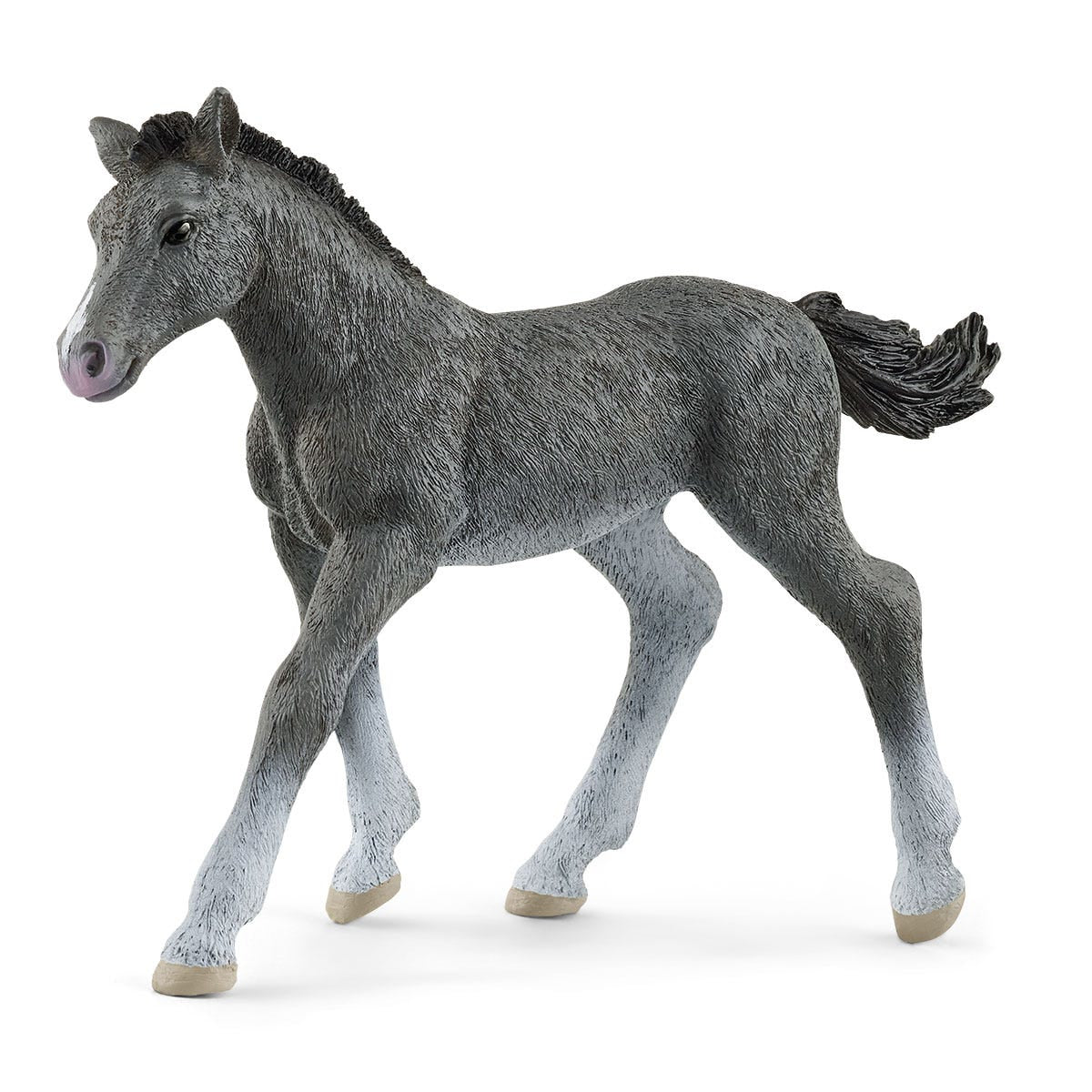 Horse Club Schliech-S 13944 Trakehner Foal