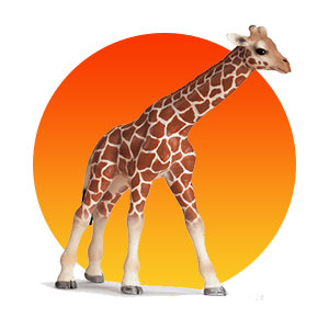 Schleichtoys