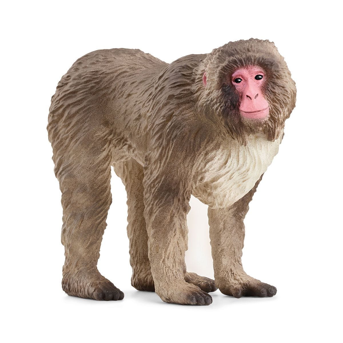 14871 Schleich Wild Life Macaco giapponese