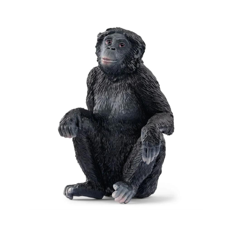 14875 Schleich Wild Life - Bonobo femmina
